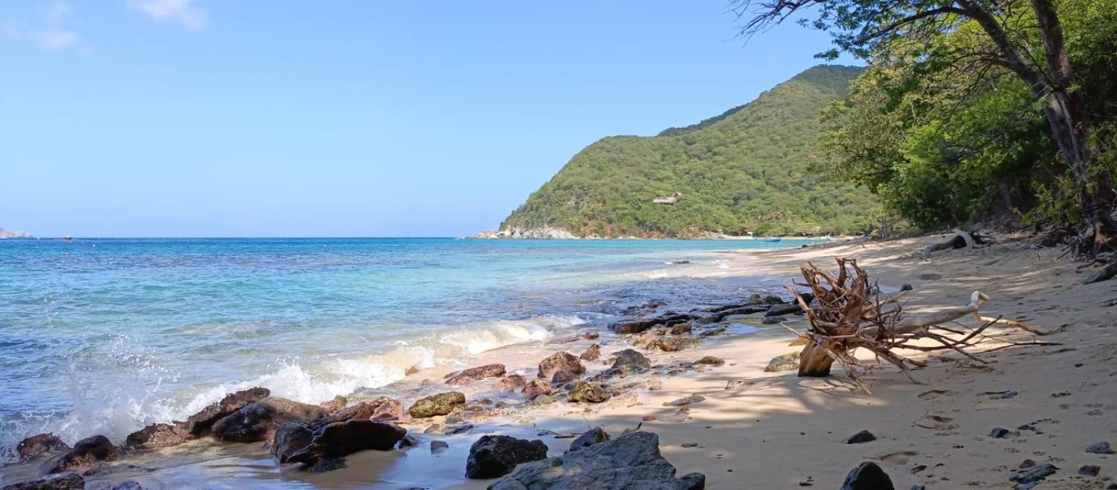 Готель Mirador Playa Cristal Tayrona Nenguange Екстер'єр фото